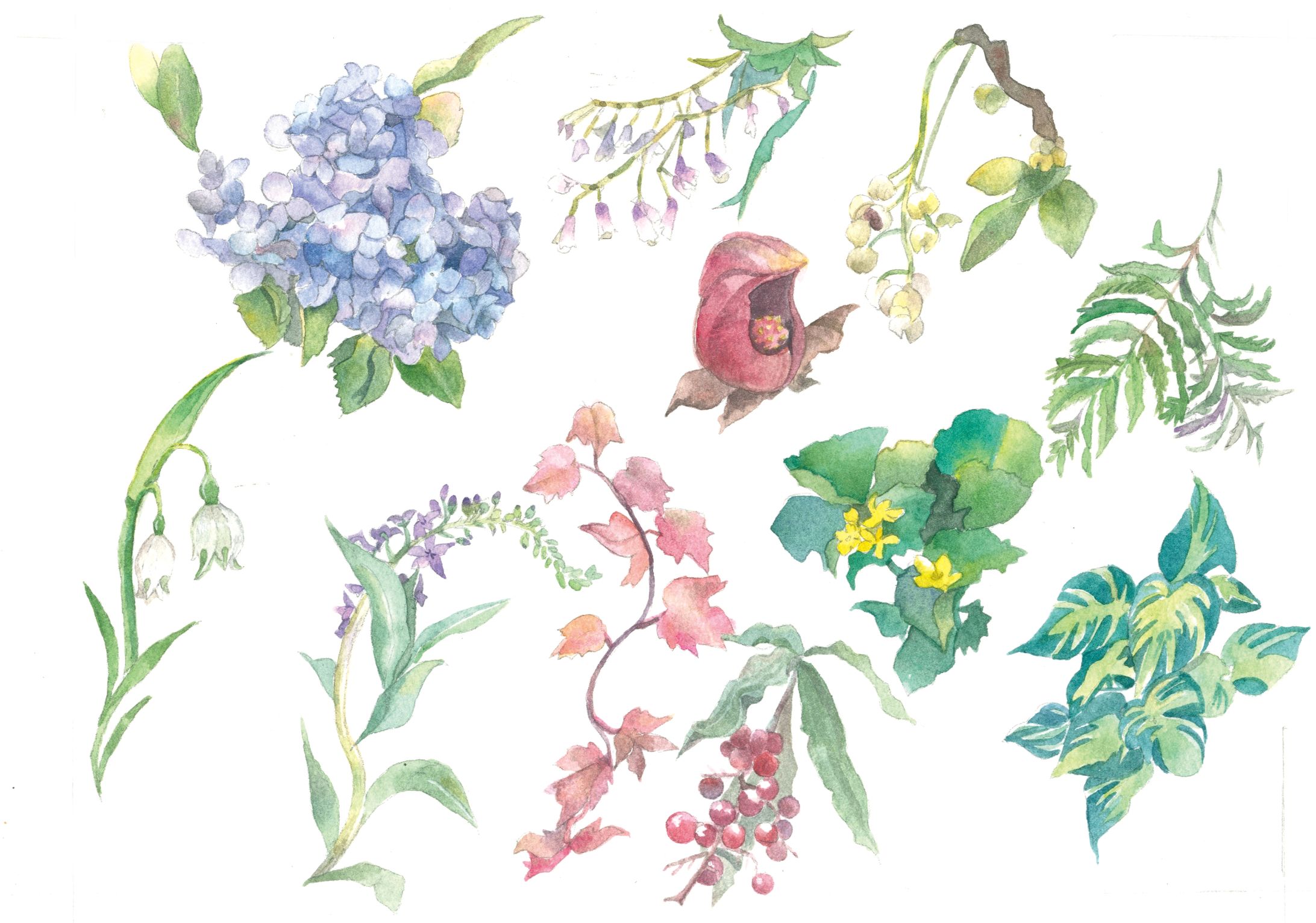 植物カットイラスト-1