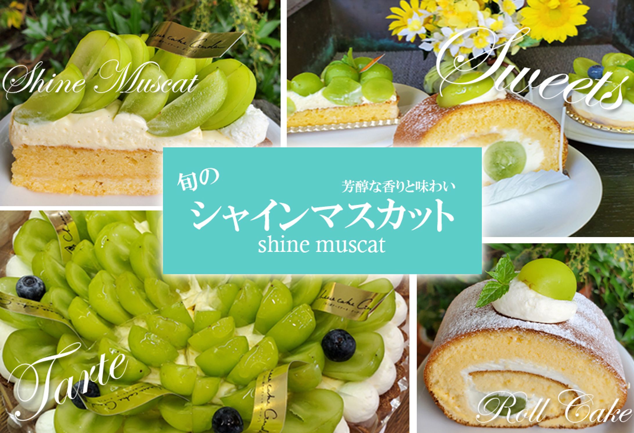 ショップ商品バナー-1