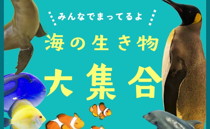 水族館広告バナー模写（Canva使用）