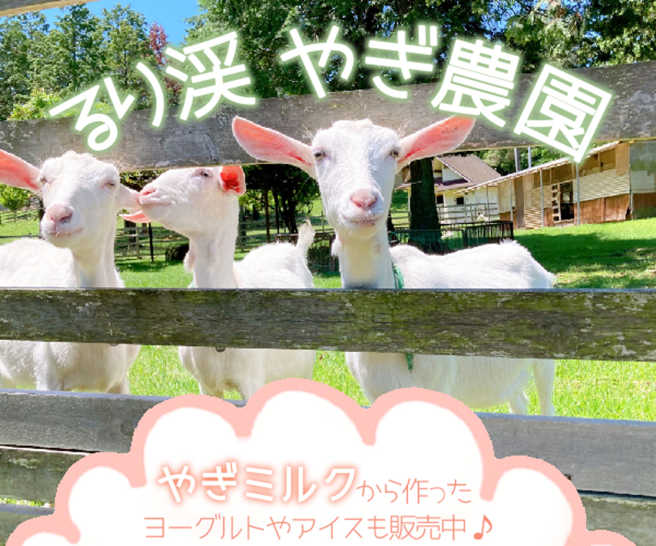 観光地バナー・商品画像-1