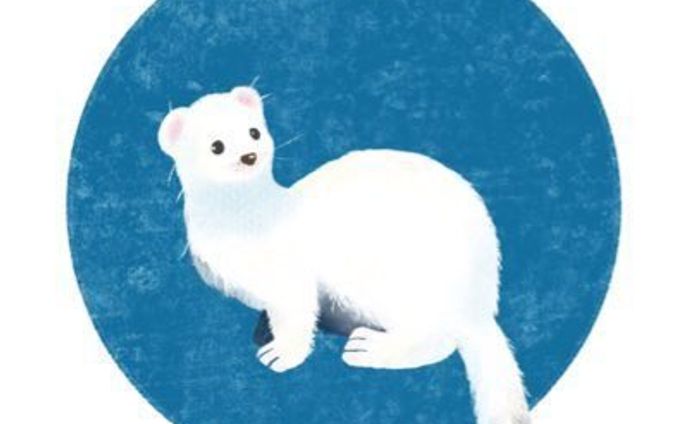 illustration-03