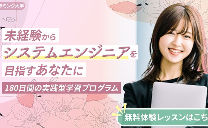 自主制作、プログラミング