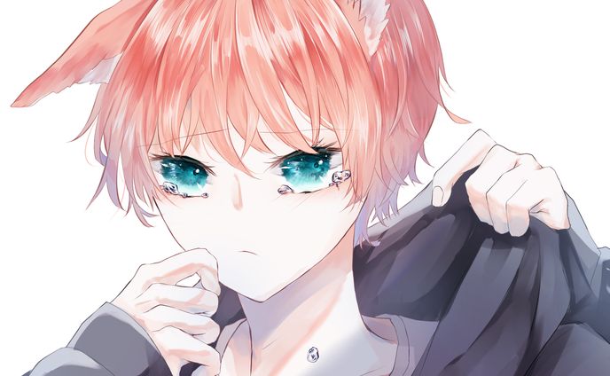 ケモミミ少年