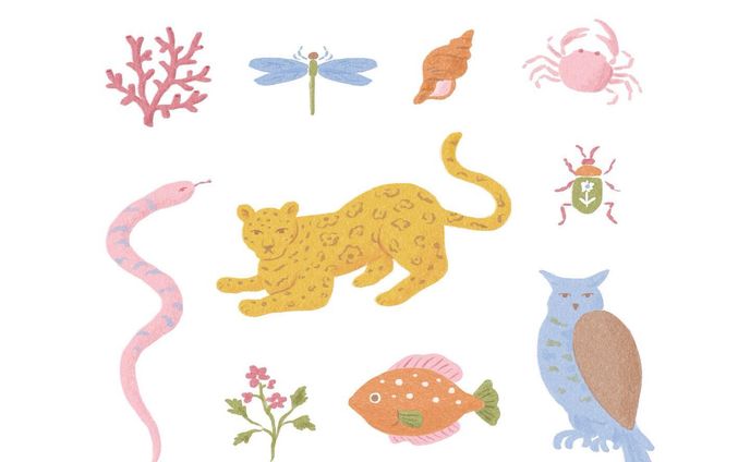 《works》
visual art for @y.o.u__m.i 
Produced by STUDIO NOX. 

y+mIはSTUDIO NOXがプロデュース、アートワークを手がけるブランドです。

いま新商品の準備中で、チームはてんてこまいまい🐌
そばに置いておくだけで心がなごむ、可愛い商品をがんばって作ってます。
お楽しみに🪴🚿

#sketchbook #artwork #drawing #paint #painting #illustration #design #graphicdesign #illustrationartist #fashionillustration #イラストレーター #イラスト #アート #插画 #일러스트 #ภาพประกอบ #kawaii #illustrateur #girly #ファッション #ファッションイラスト #イラストレーション #デザイン #グラフィックデザイン #studionoxjp