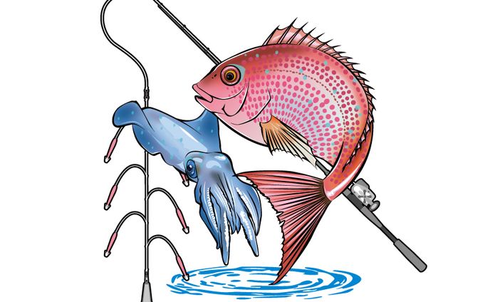 魚イラスト