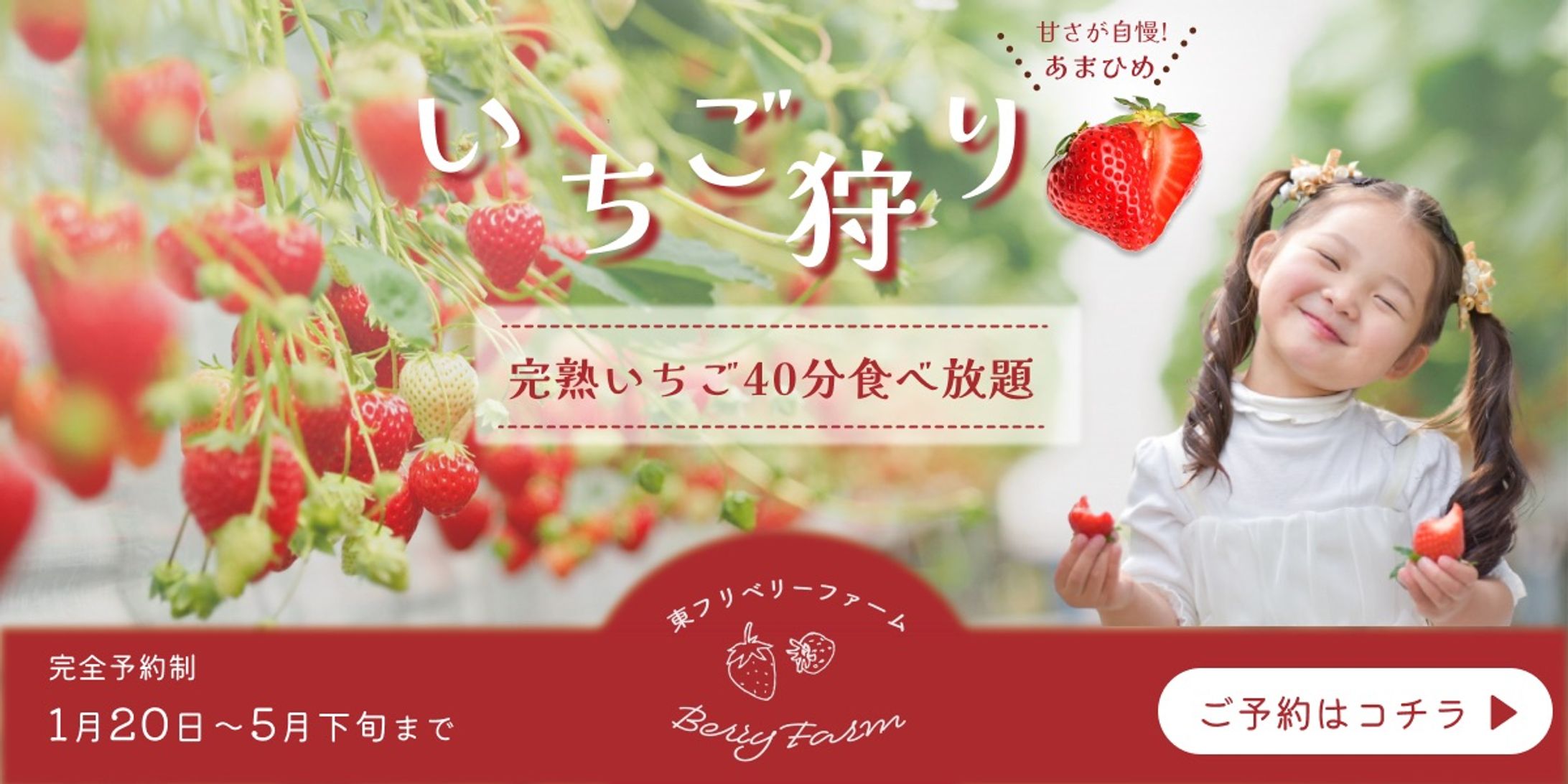 【バナー】いちご狩り-1