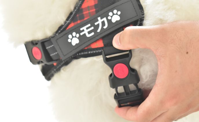 Pet_Harness_shot