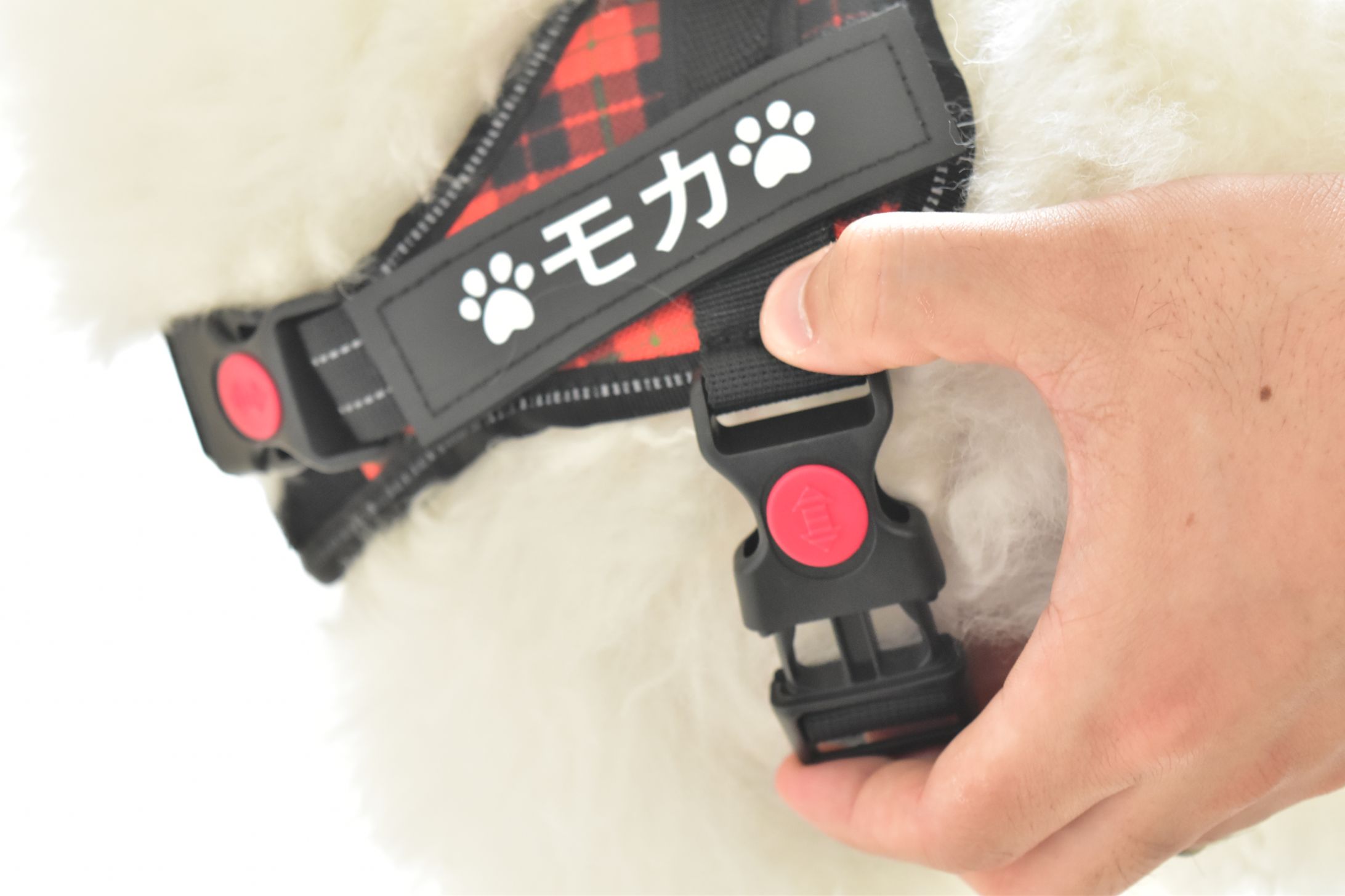 Pet_Harness_shot-1