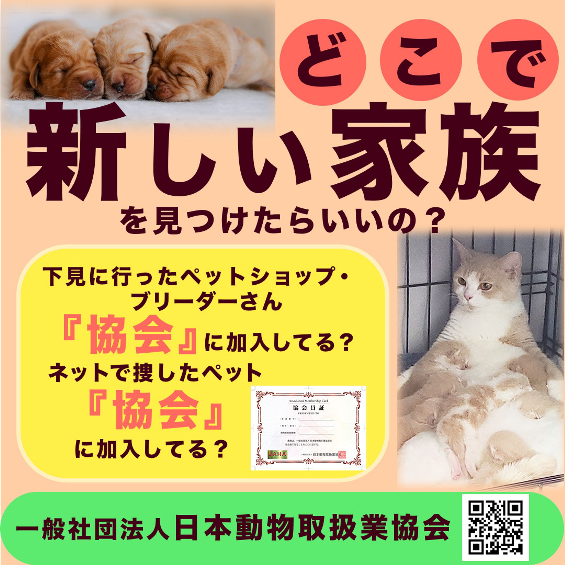 一般社団法人 日本動物取扱業協会 SNS画像-1