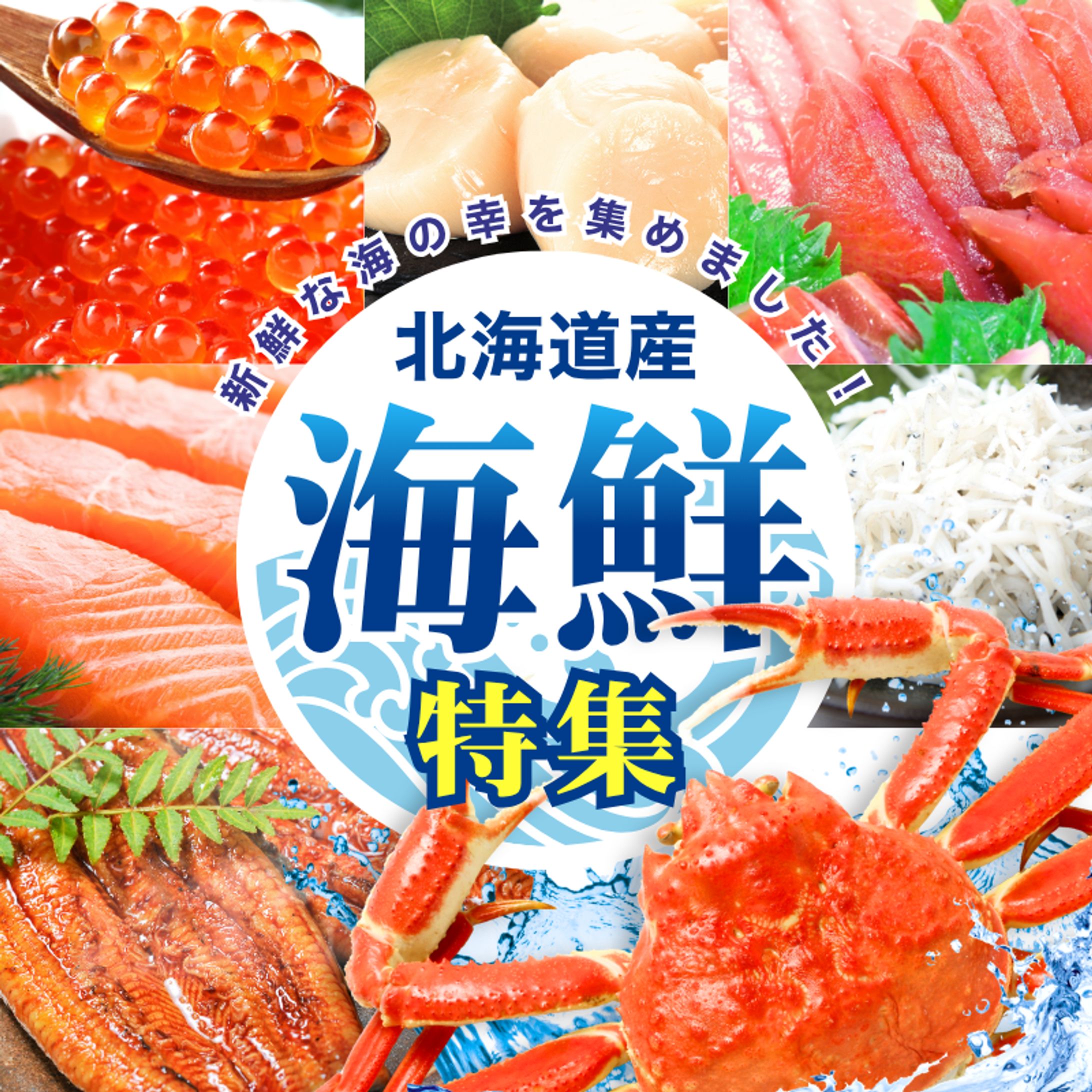 海鮮特集バナー-1