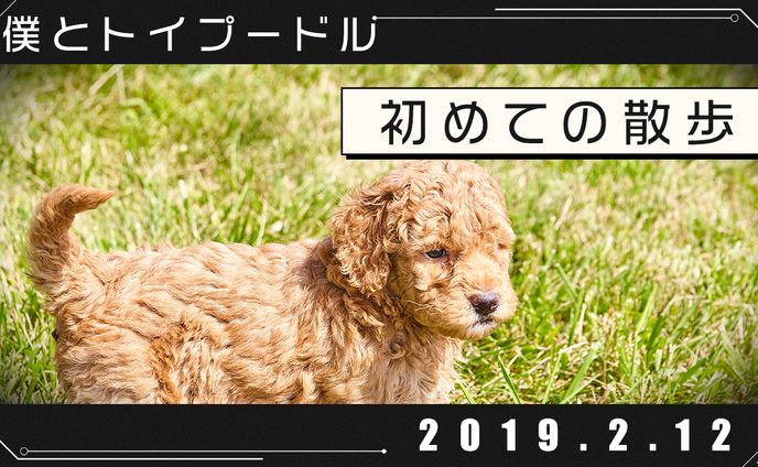 歌サムネ、ペット系