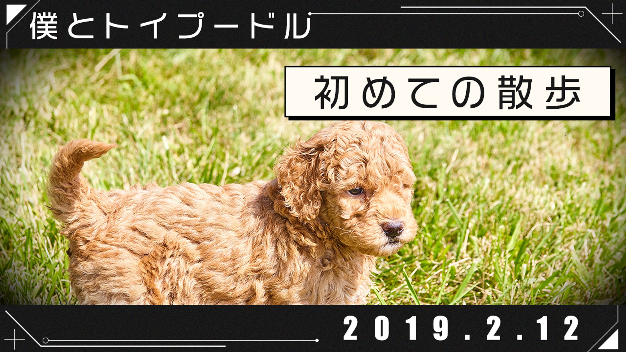 ペット系サムネイル-1