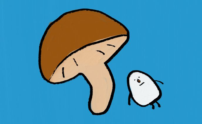 おこめときのこ