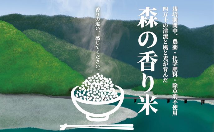 森の香り米パッケージデザイン　ハガキサイズポップ用