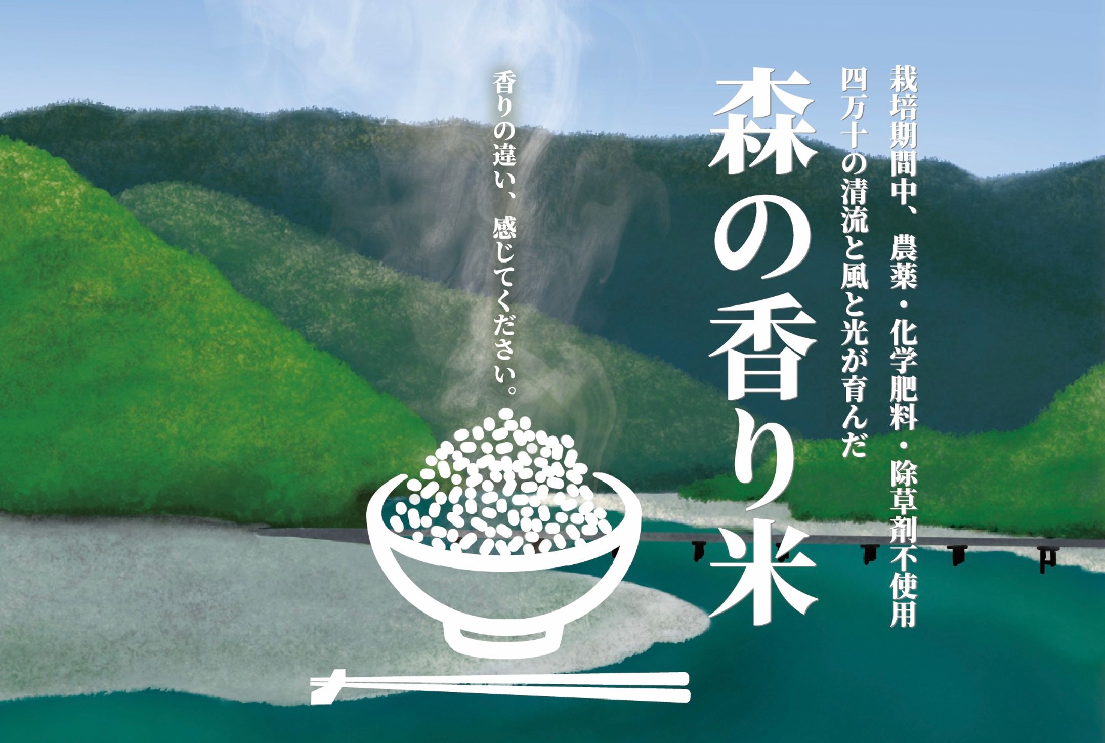 森の香り米パッケージデザイン　ハガキサイズポップ用-1