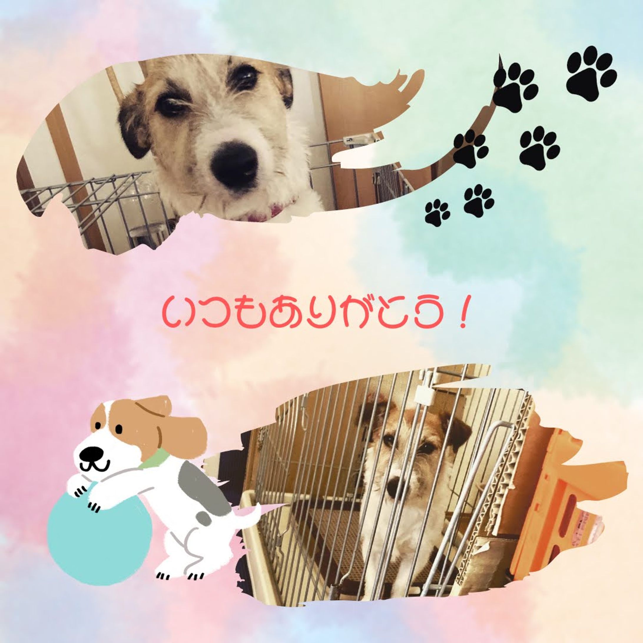 Canva/フォトフレーム（1）-1