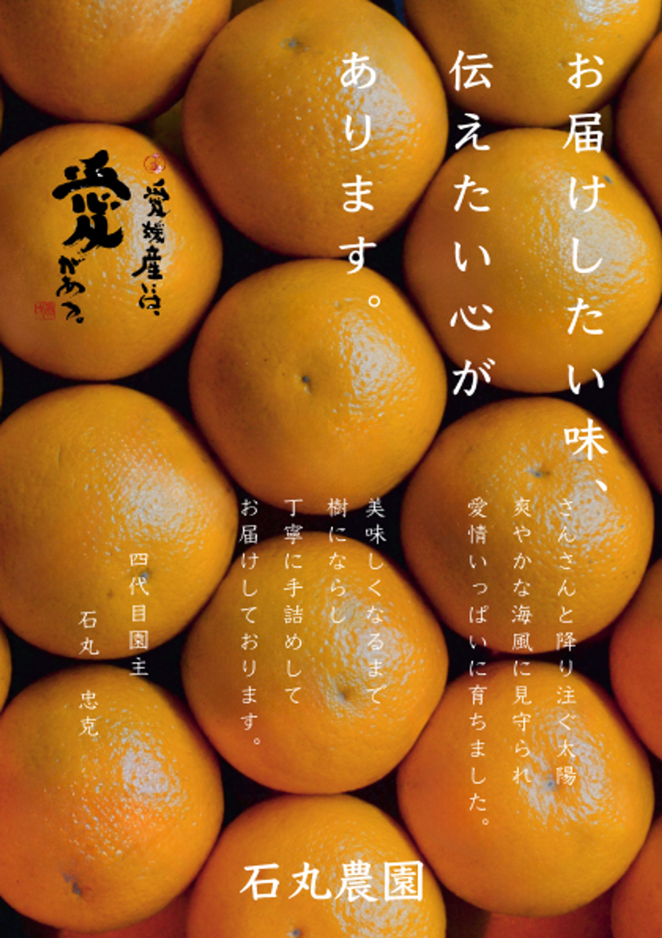 みかん農家チラシ-1