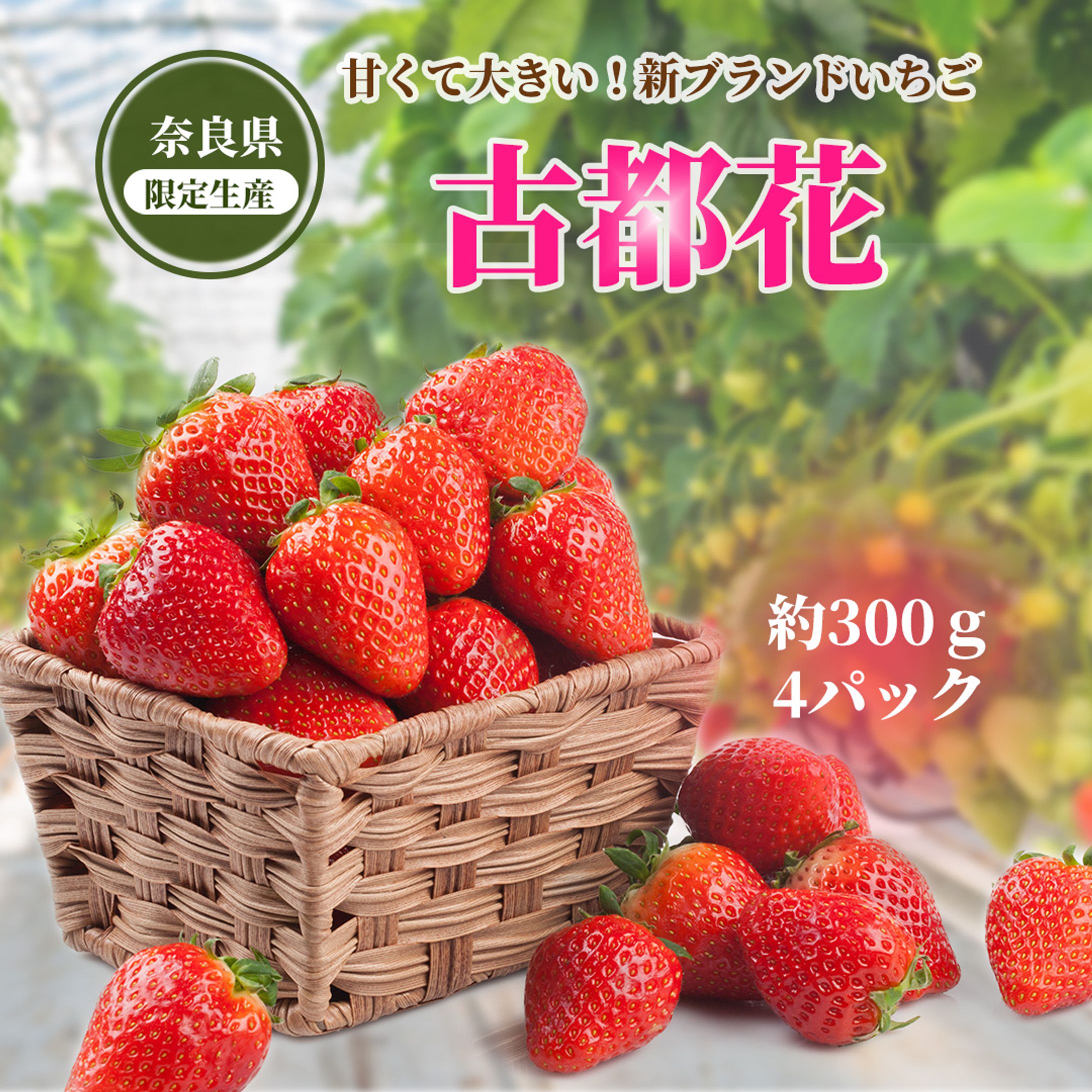 ・*・‥いちご‥・*・-1