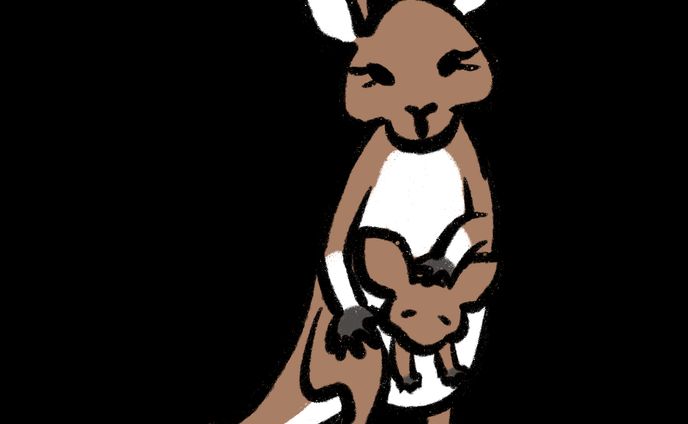 ゆるめのカンガルー