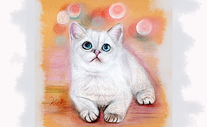 白い子猫