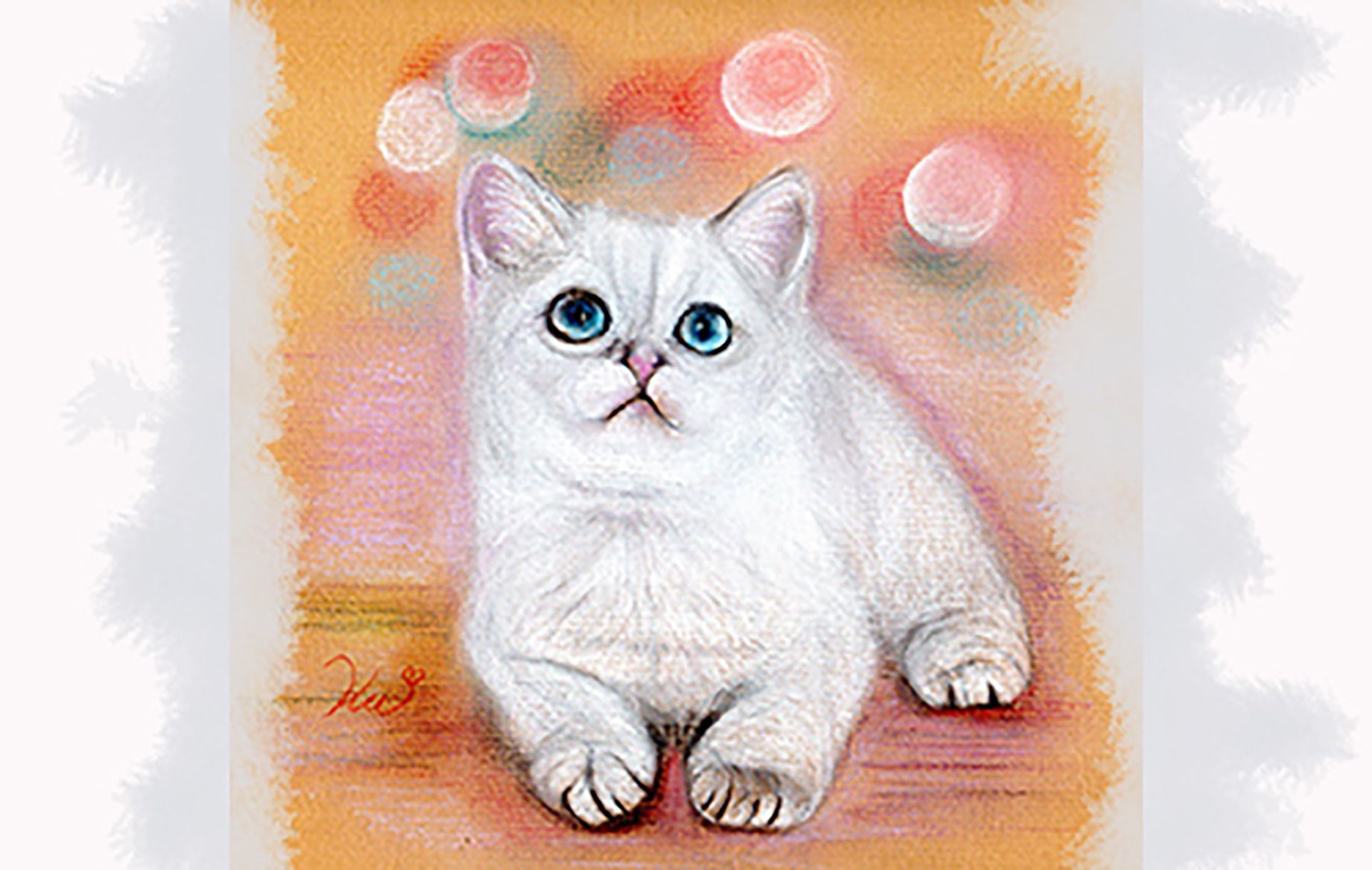 白い子猫-1