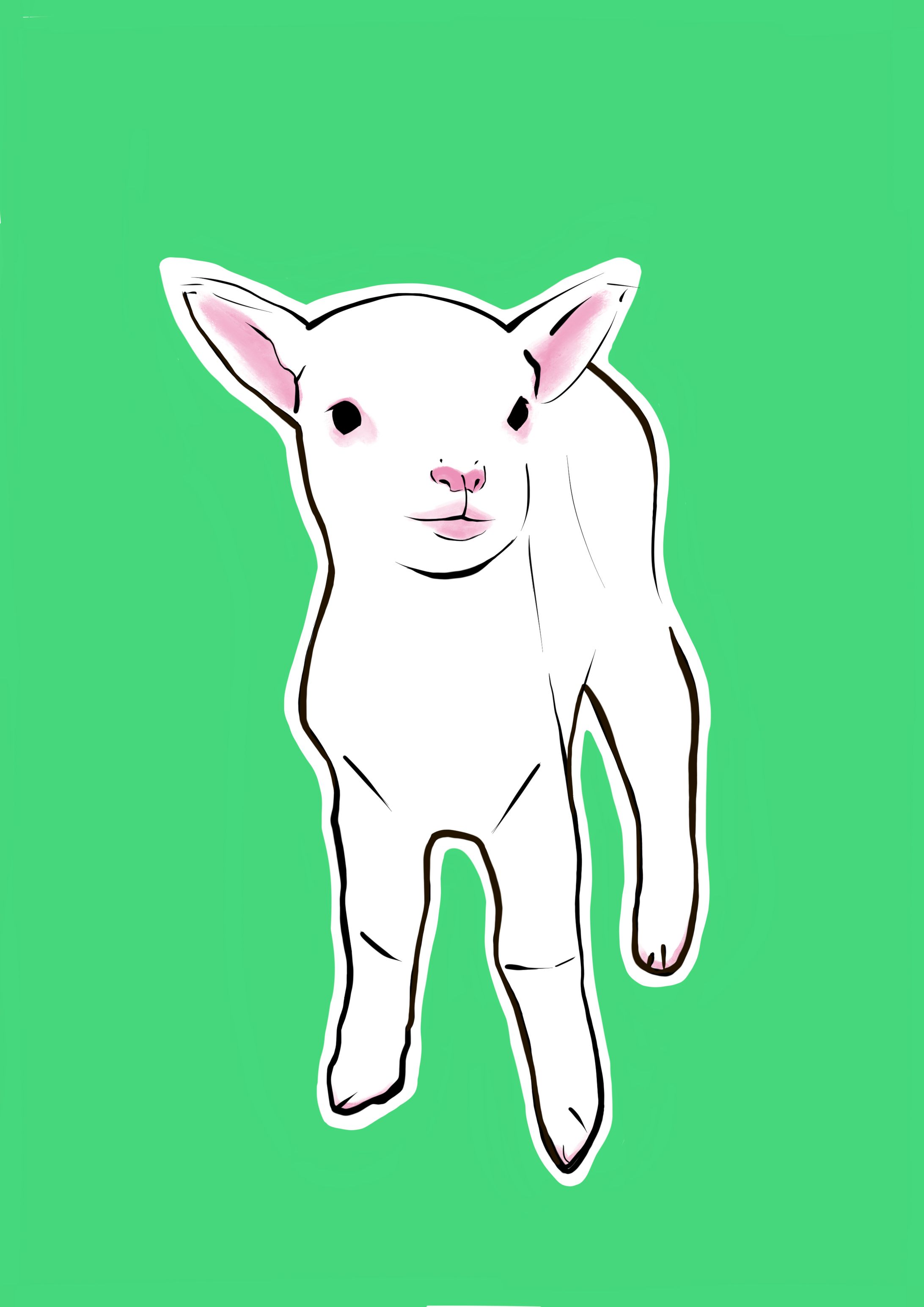 animal illustration-1
