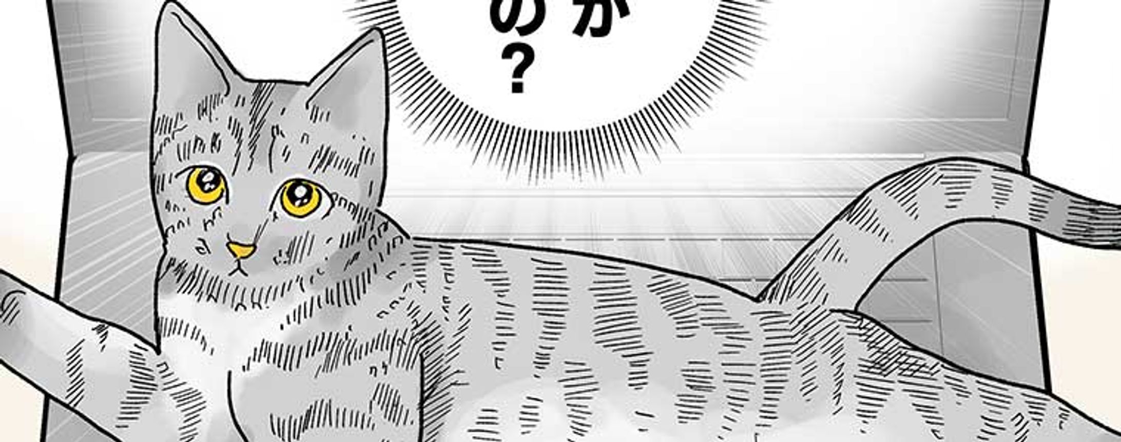 【猫マンガ】【熊猫杯2022漫画賞受賞】│世界で一番可愛い猫 2-1