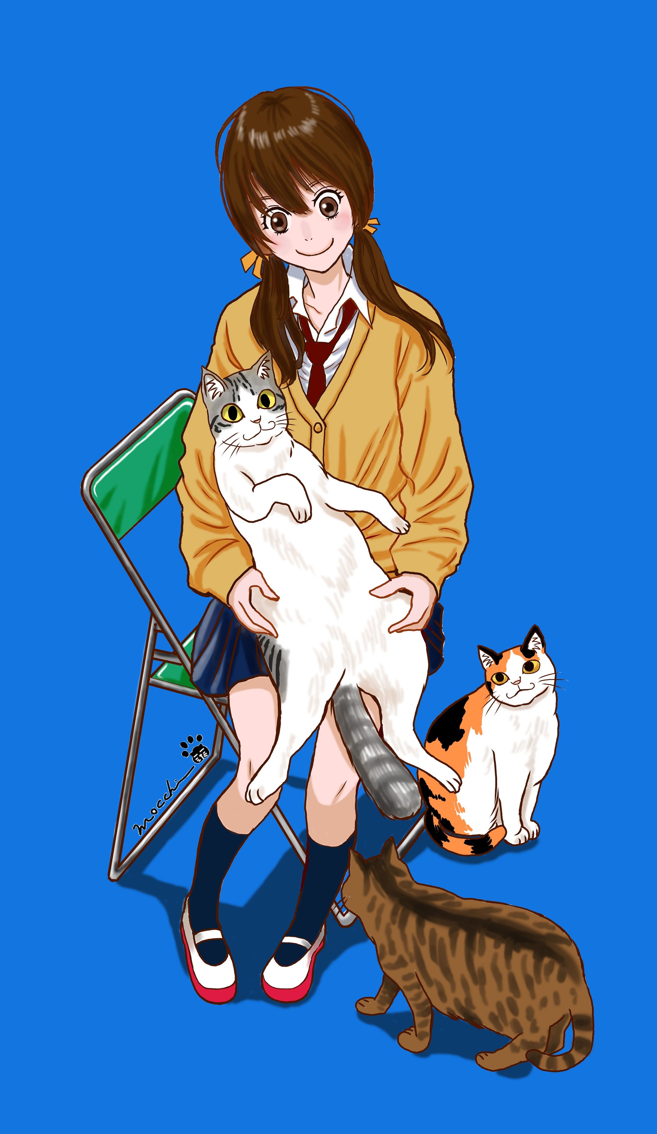 膝猫と女子と猫たち-1