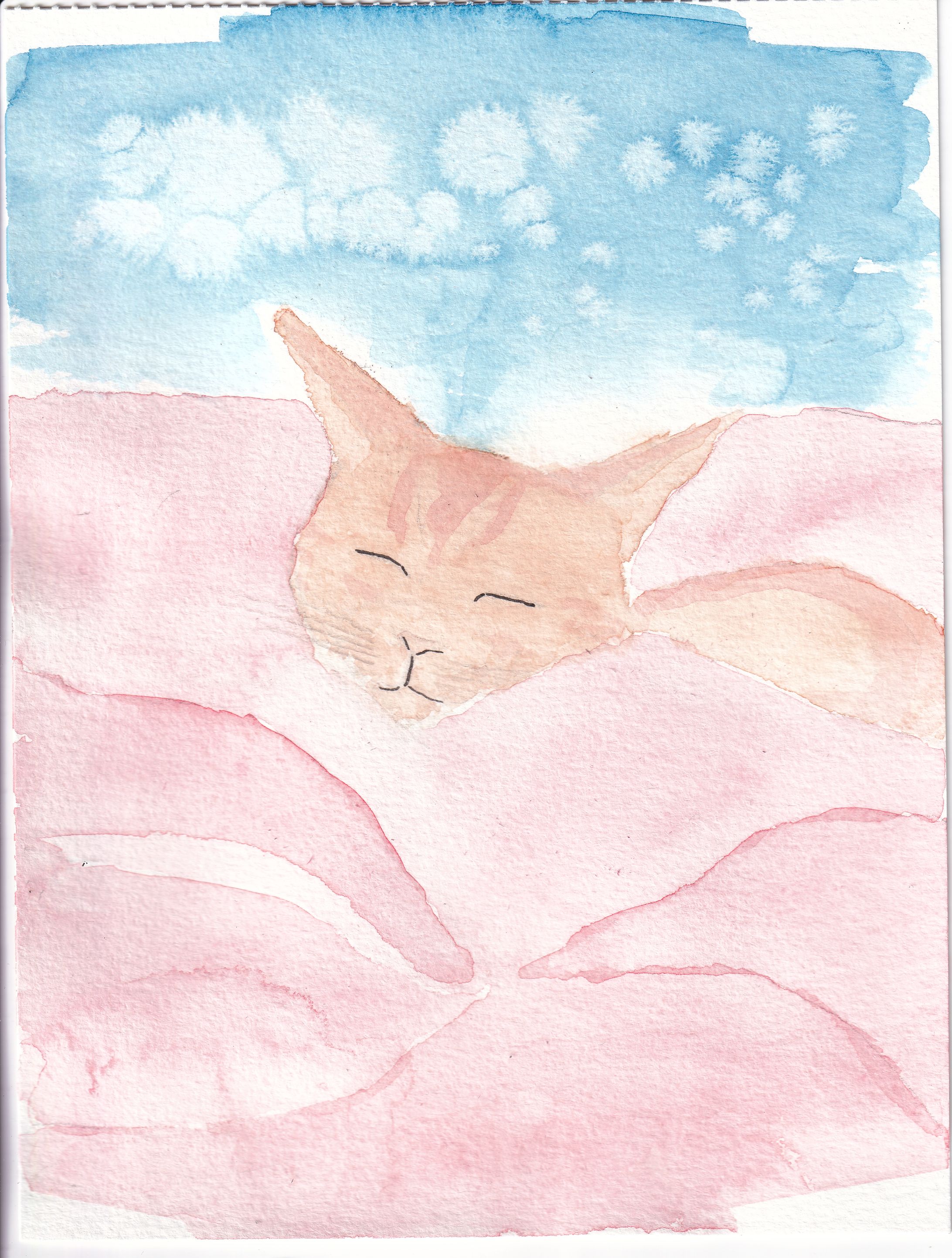 山と猫-1