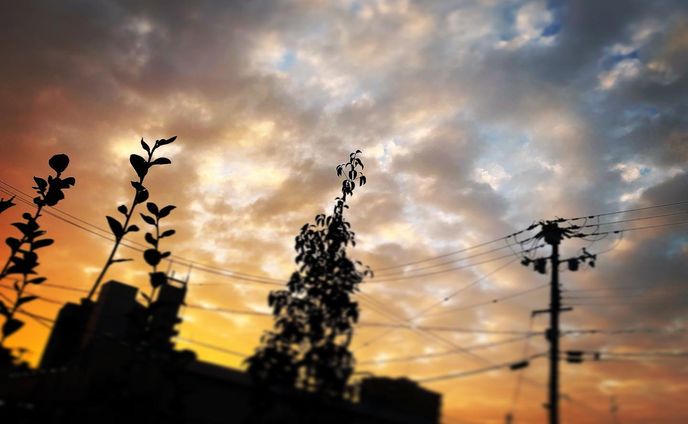 #Photo #空 #sky #景色 #夕焼け#夕焼け空
就活がつらい