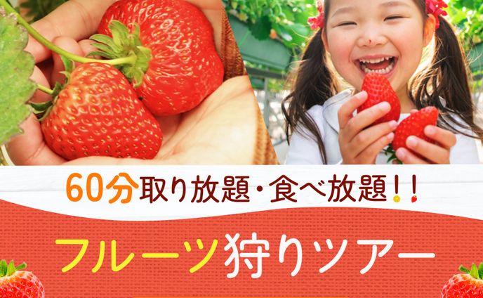 バナー：フルーツ狩りツアー