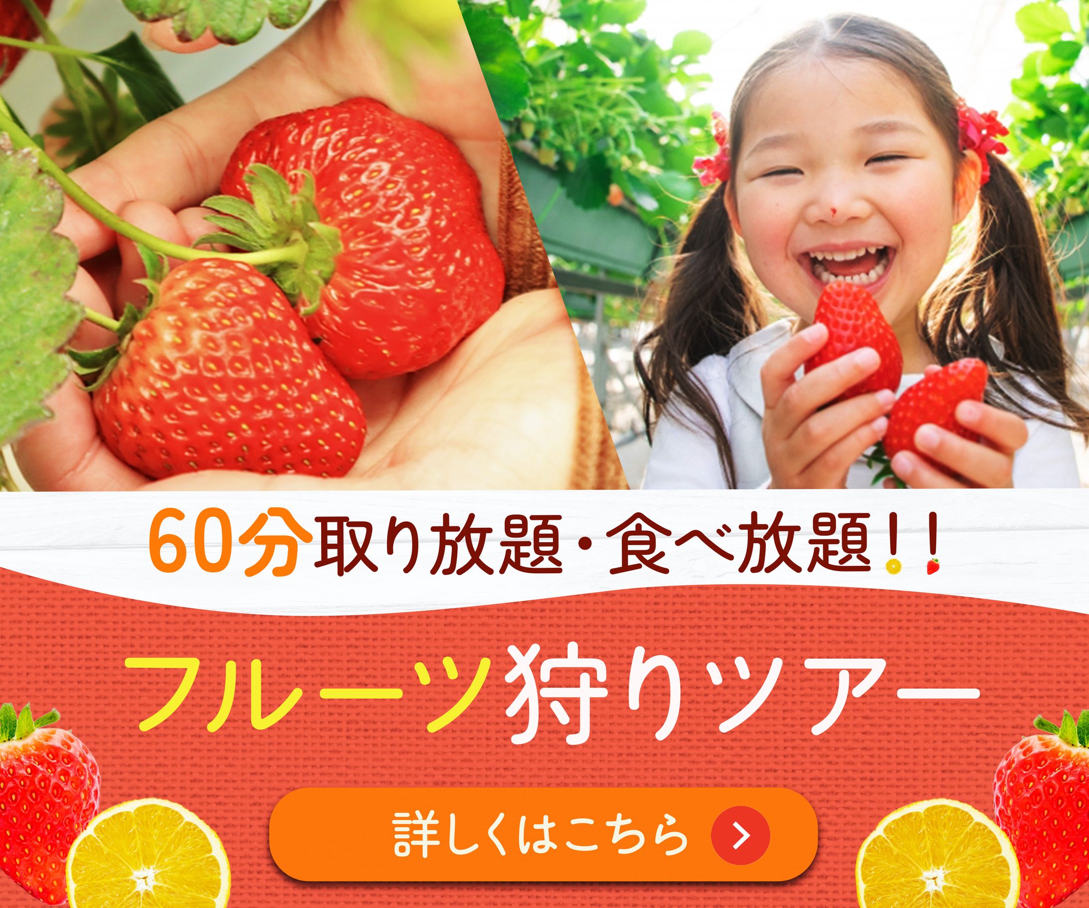 バナー：フルーツ狩りツアー-1