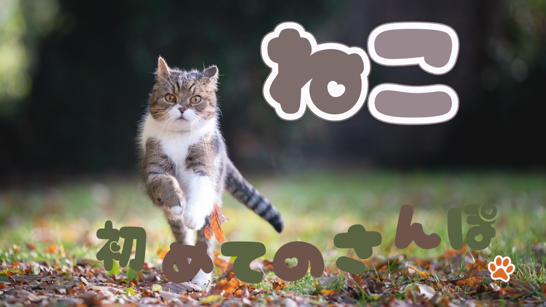 サムネイル猫さんぽ-1