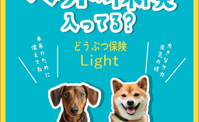 ペット保険