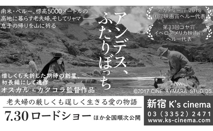 【映画「アンデス、ふたりぼっち」新聞広告制作実績】ブエナワイカ様（リピーター様）