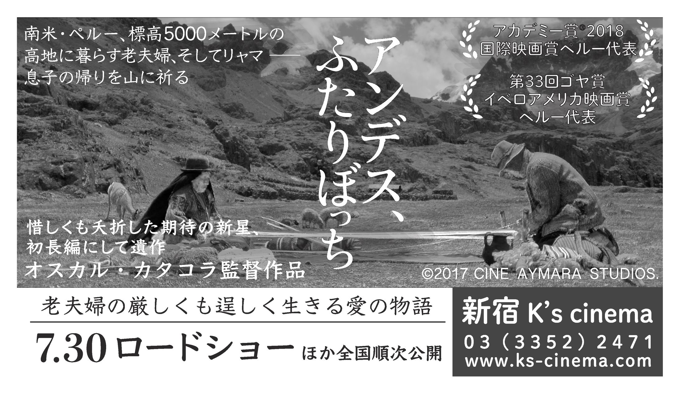 【映画「アンデス、ふたりぼっち」新聞広告制作実績】ブエナワイカ様（リピーター様）-1