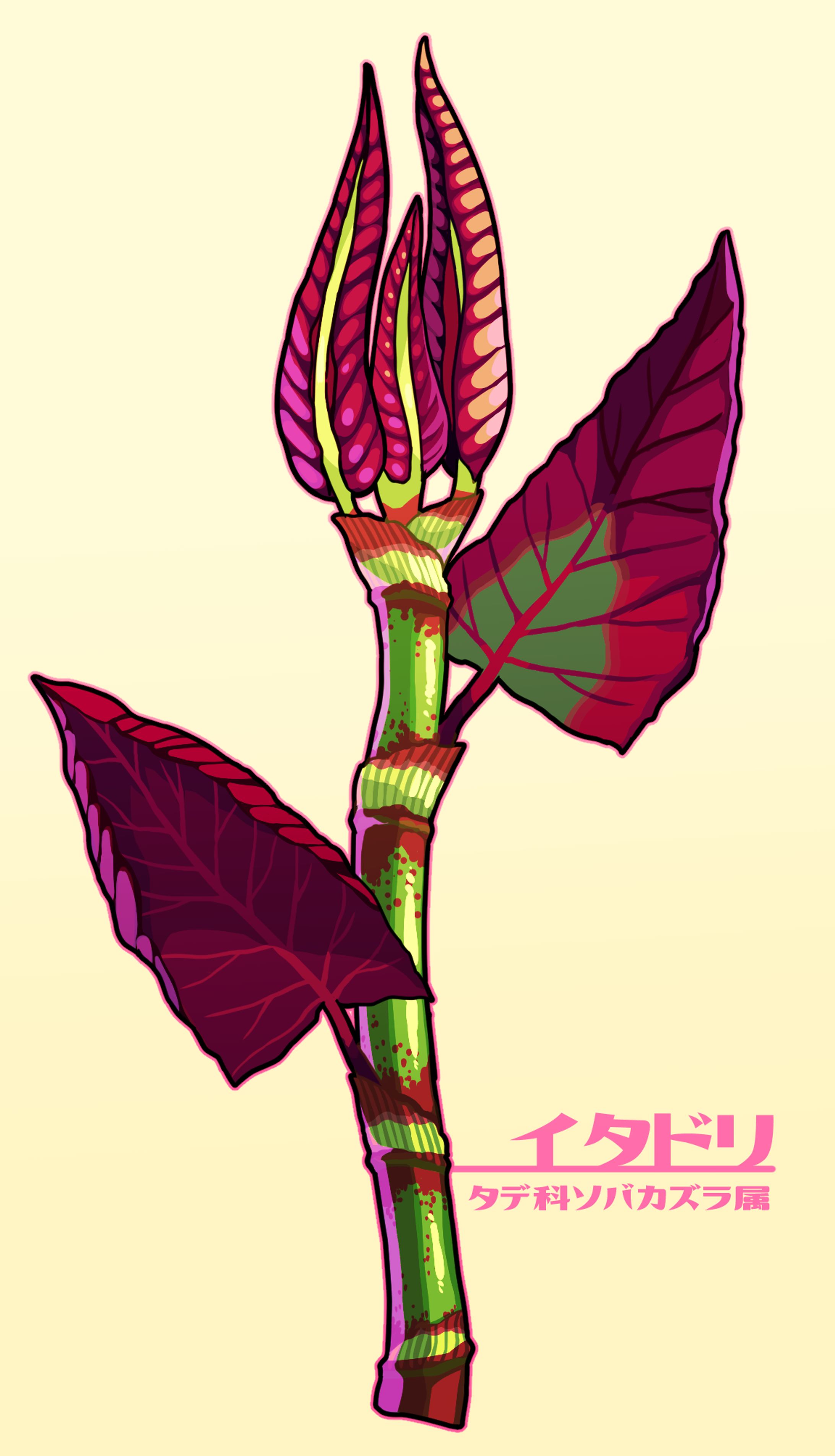 野草イラスト-1