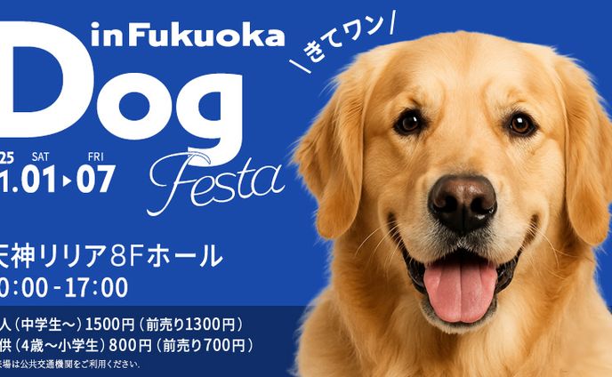 Dog フェスタ（オリジナル）