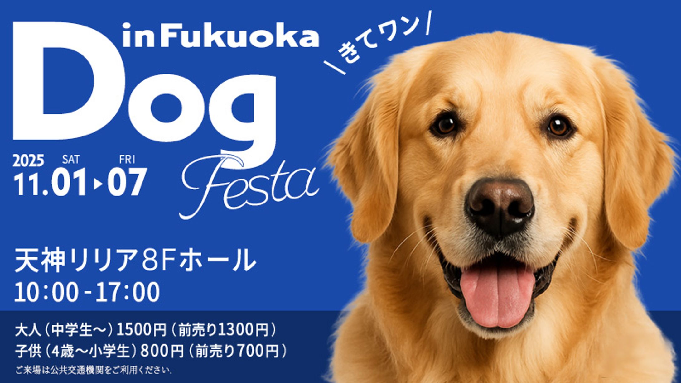 Dog フェスタ（オリジナル）-1