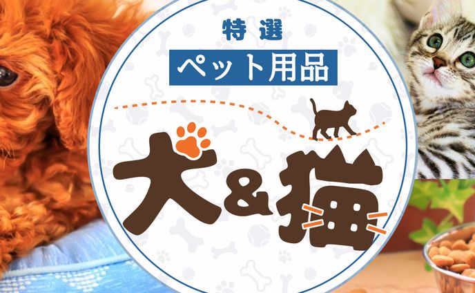 バナー、藤原顕光
