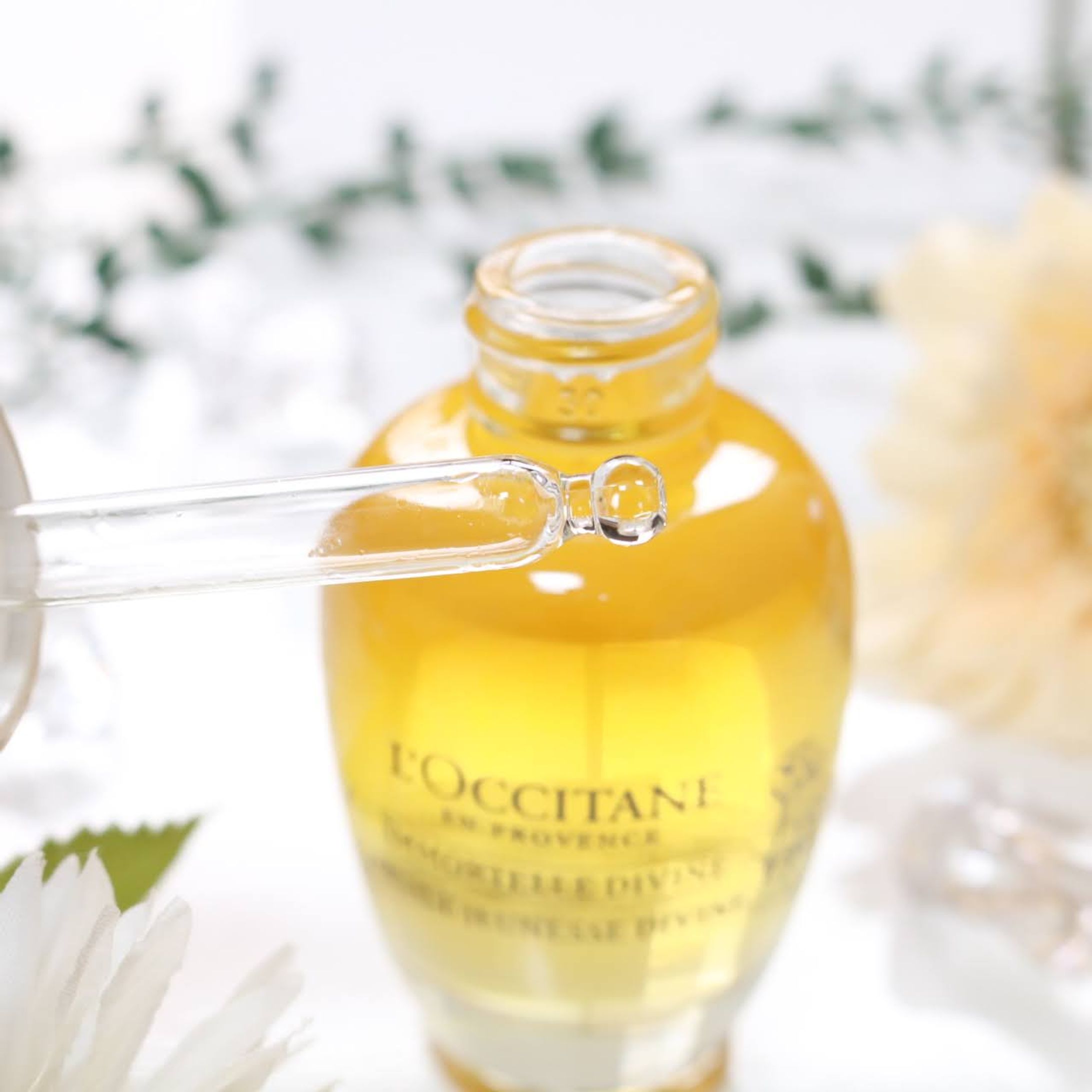 一眼レフでの撮影写真もご提供可能です-1