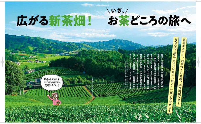 京都の茶どころ・和束の記事