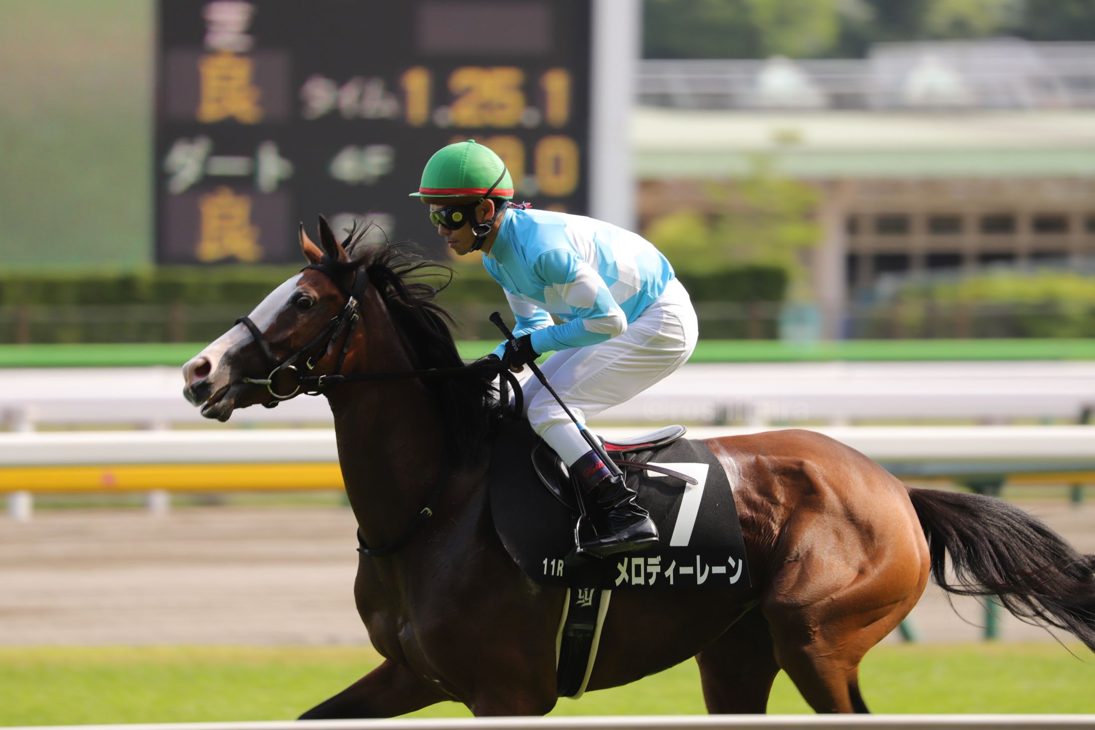 Melody Lane canter-1