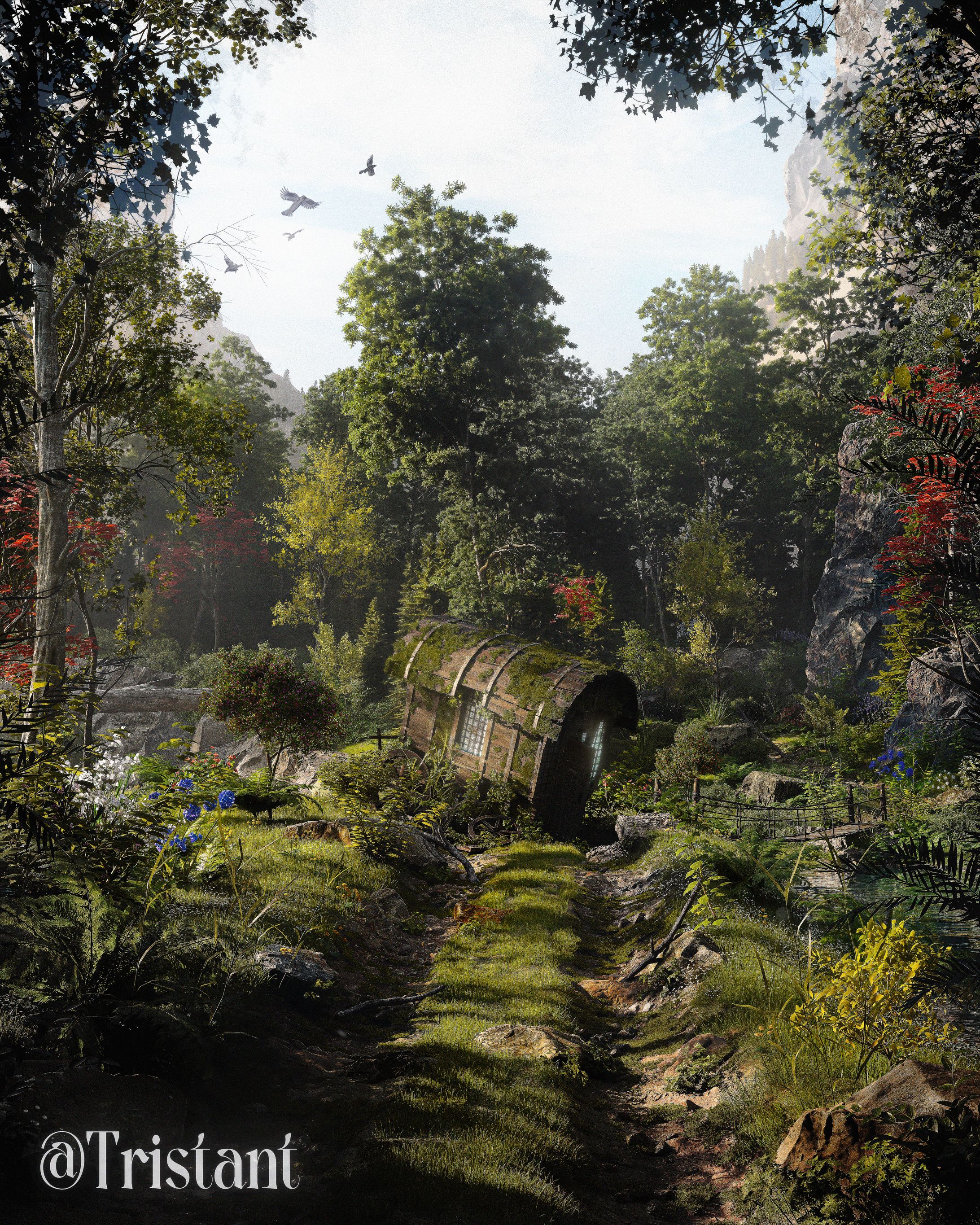 environments course-1