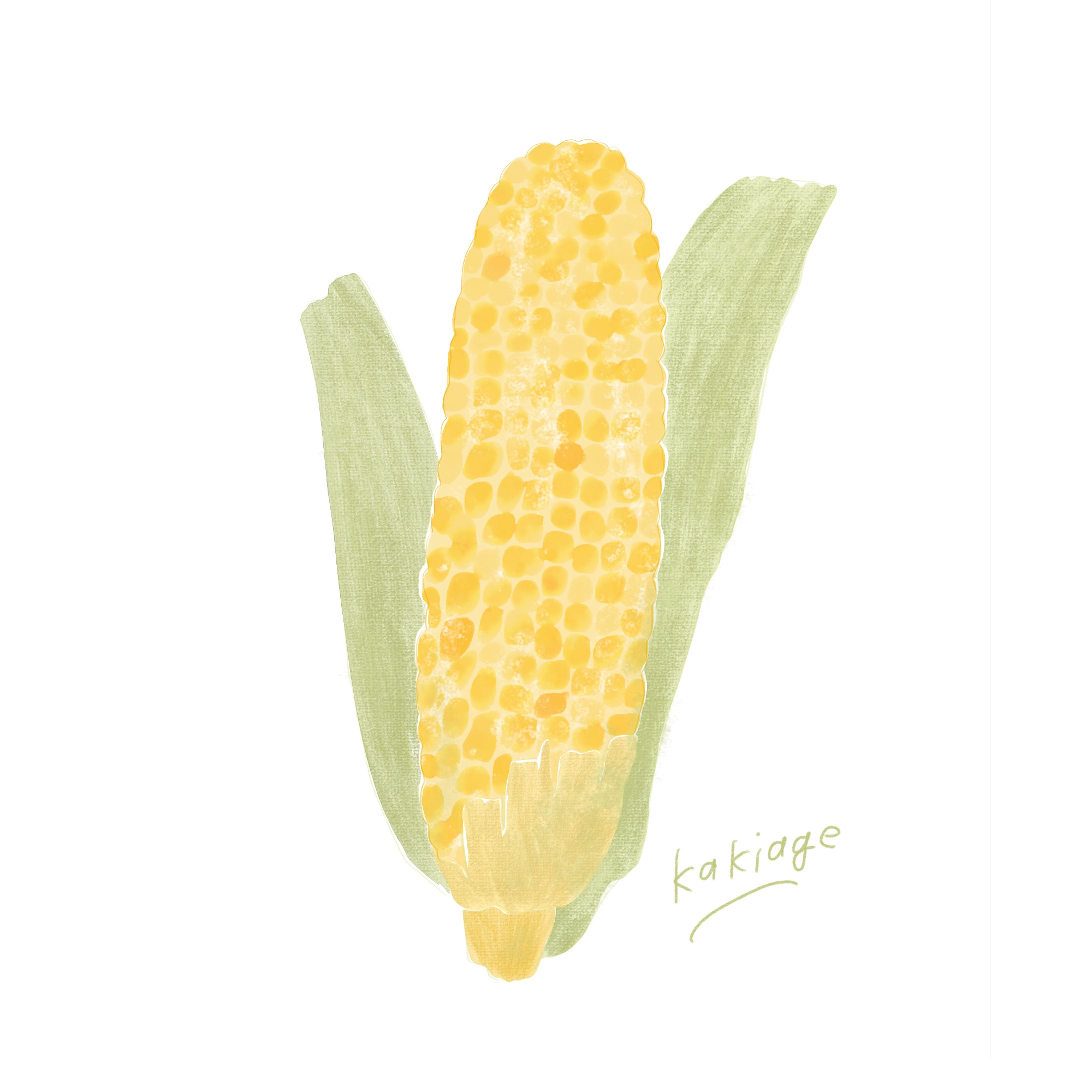 とうもろこし-1