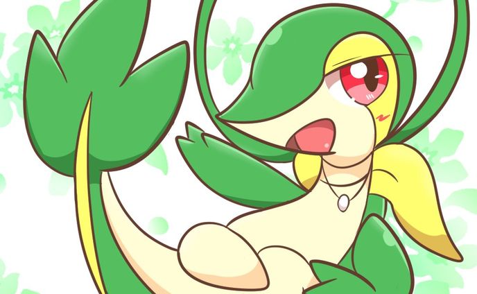 ツタージャ