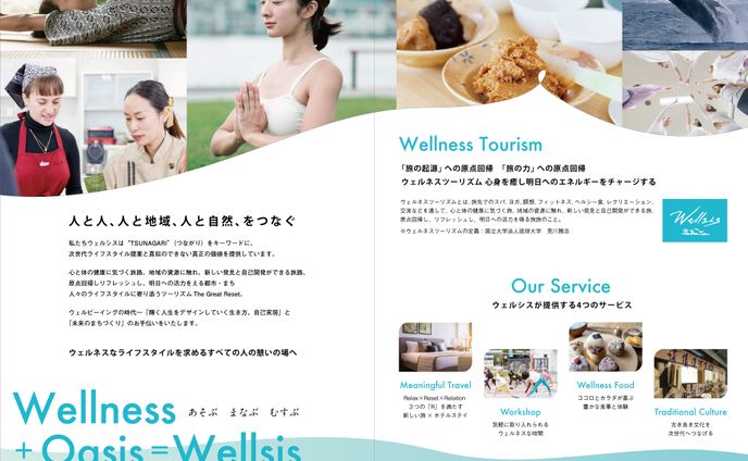 wellsis B5_leaflet