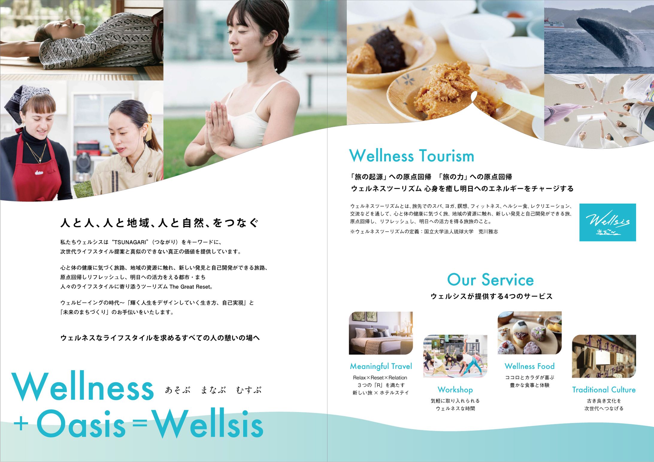 wellsis B5_leaflet-1
