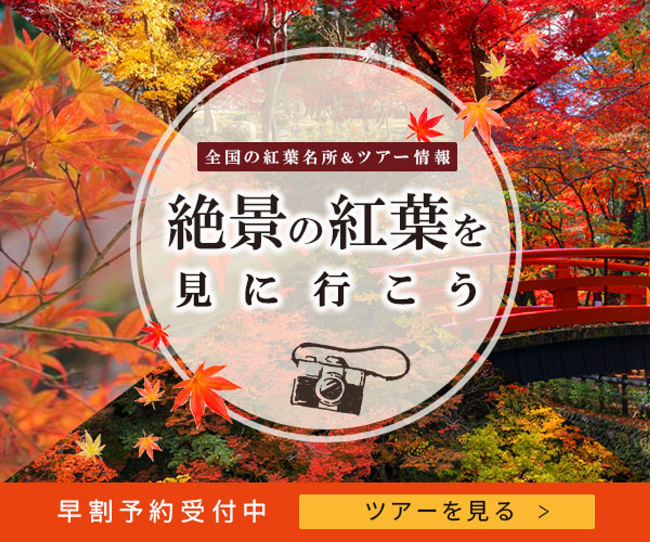 バナー：紅葉ツアー-1