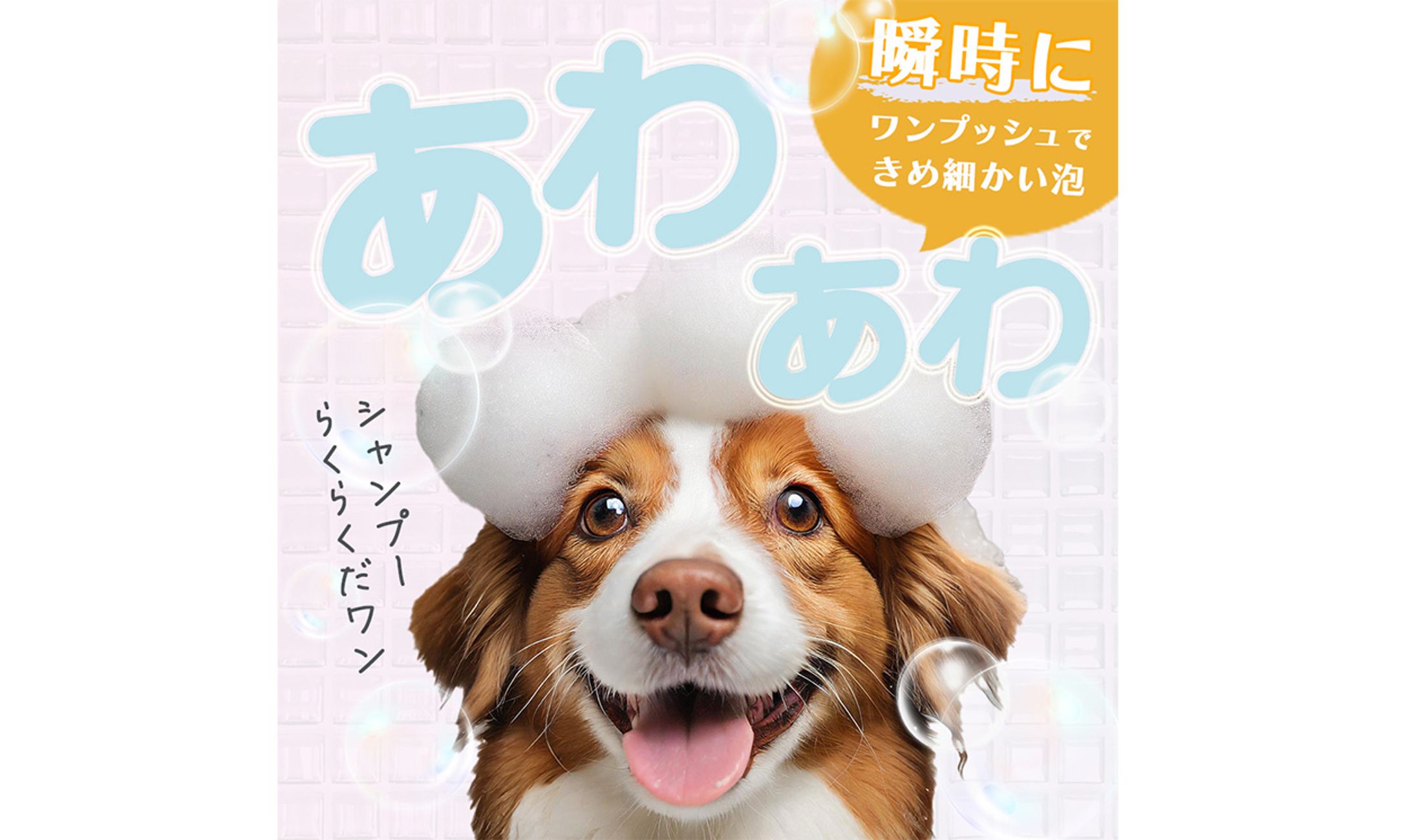 広告バナー｜ペットシャンプー-1